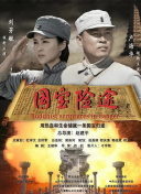 国内精品久久久久久